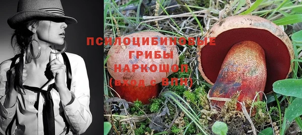 прущие грибы Волосово