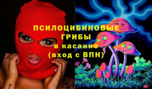 mdpv Волоколамск