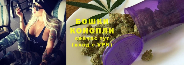 прущие грибы Волосово