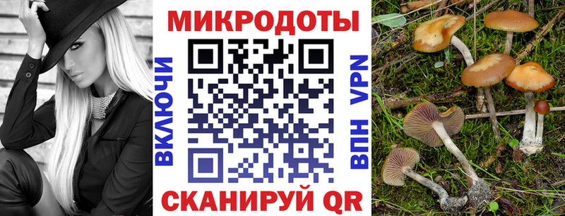 Купить где  Ковылкино  Псилоцибиновые грибы GOLDEN TEACHER 